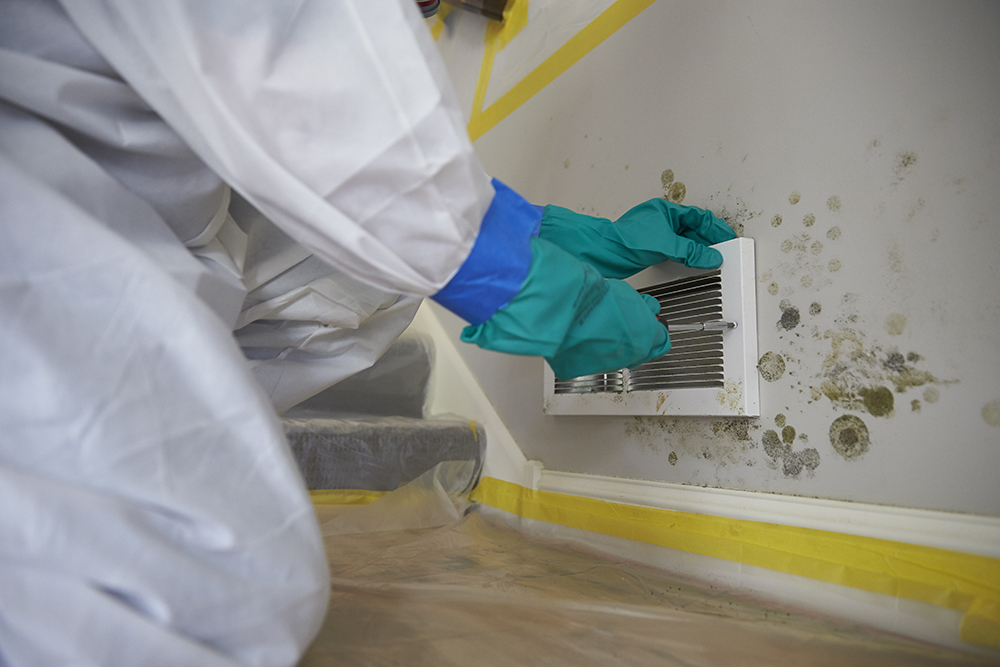 MOULD REMOVAL FROM WATER DAMAGE